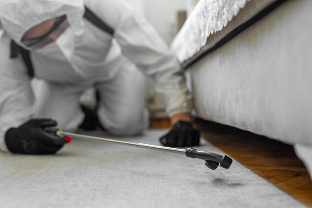 Professional Mosquito Control technician working in San Miguel County County, NM